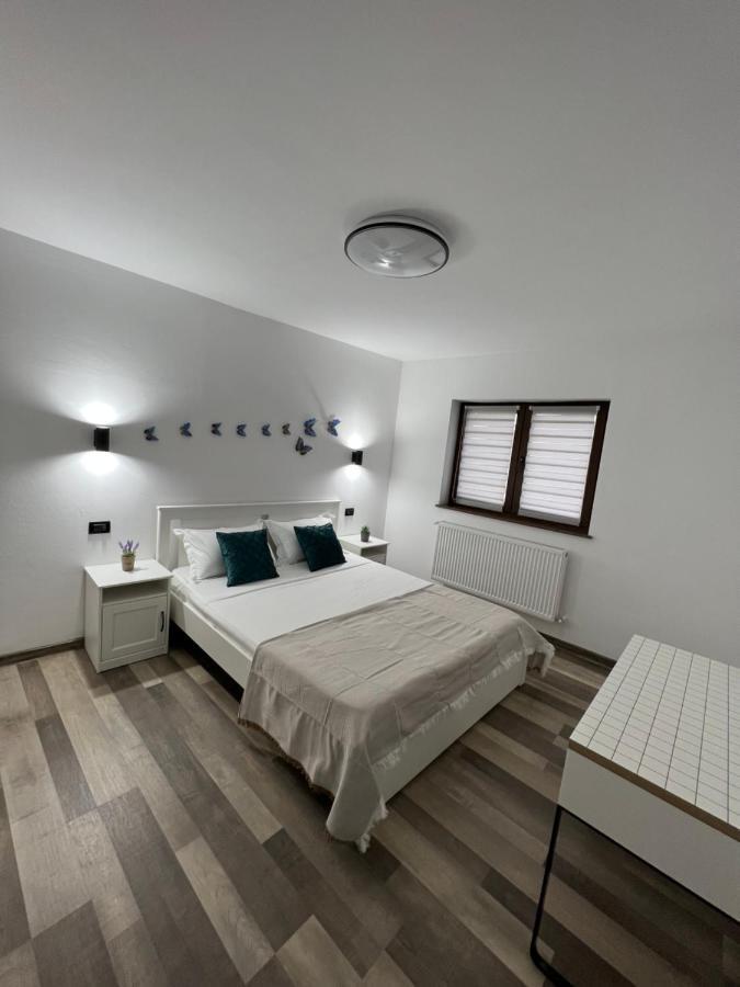 Sunny Luxury Home G. Enescu Suceava Exterior foto