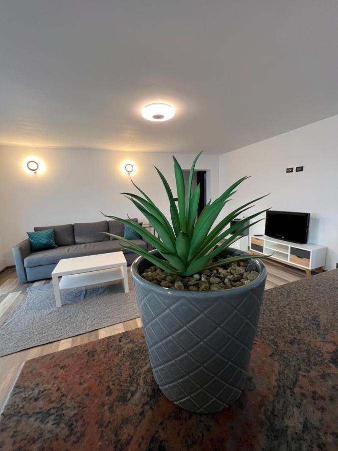 Sunny Luxury Home G. Enescu Suceava Exterior foto