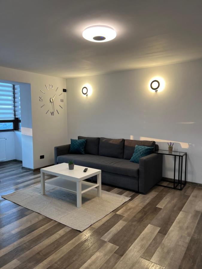 Sunny Luxury Home G. Enescu Suceava Exterior foto